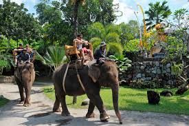Ticket - Bali Zoo